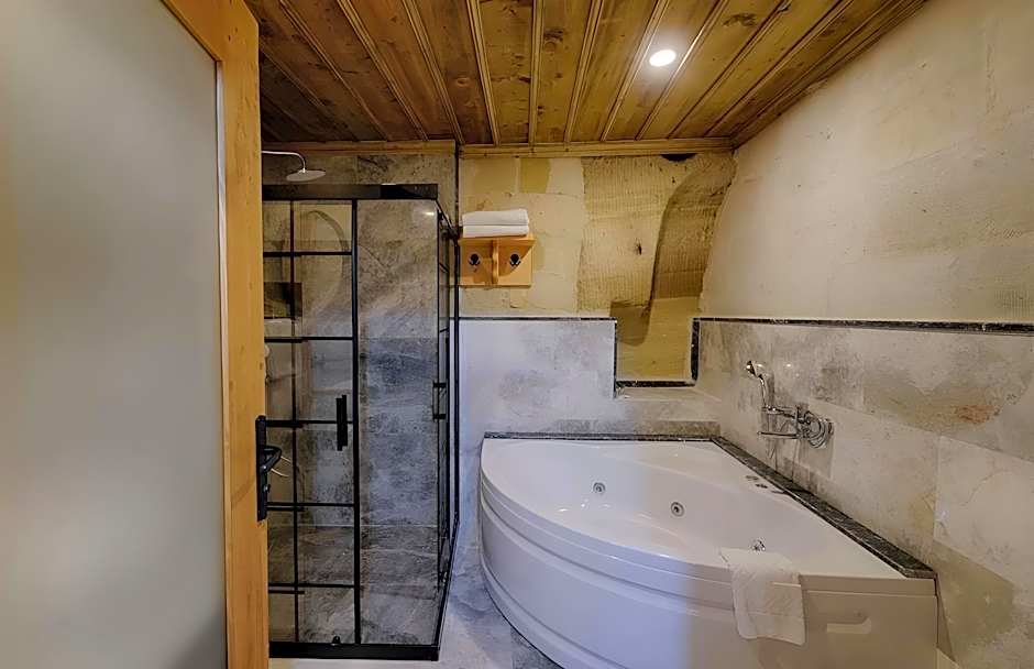 Concept Cave House