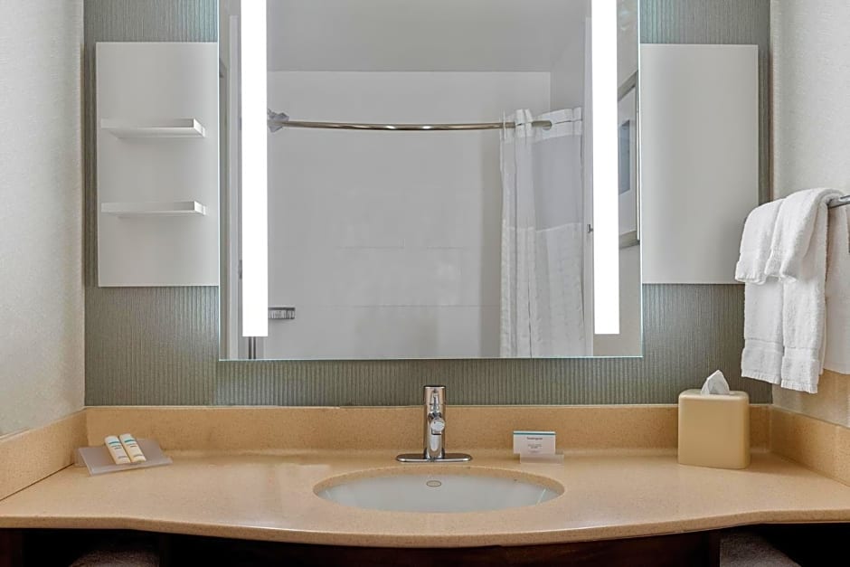 Hilton Garden Inn New Orleans French Quarter/CBD