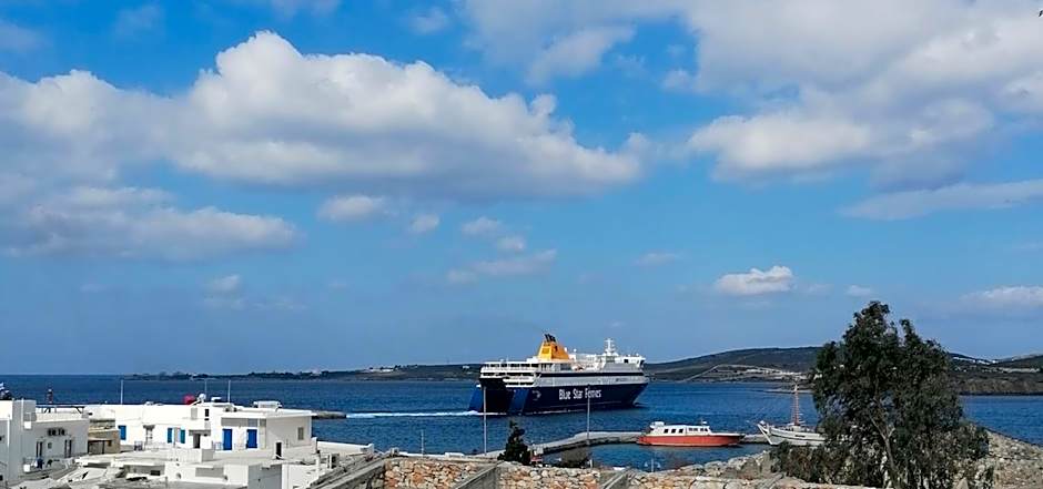 Stephany's Skyline Studio