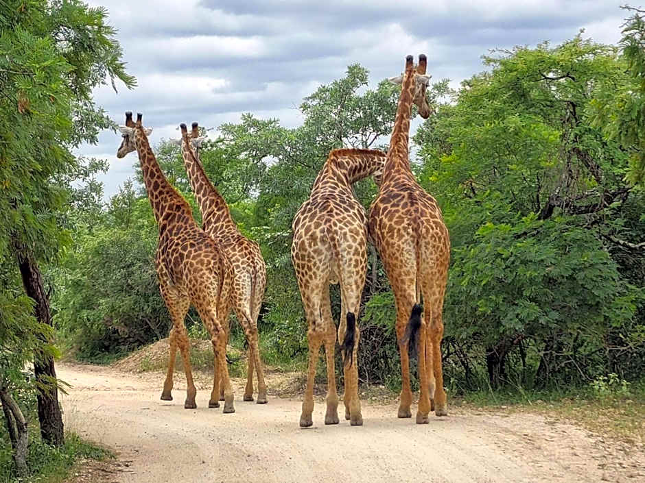 Rhino's Rest Private Luxury Villa