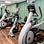 Holiday Inn Express & Suites St. Petersburg - Seminole Area By IHG
