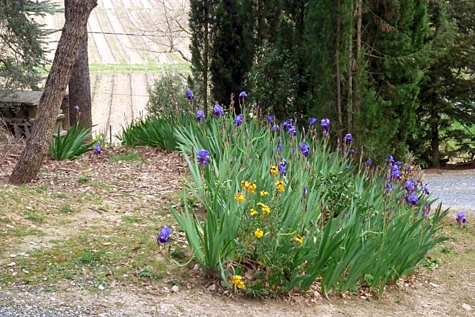 LES BRUYERES chambre d'hôte de charme Calme assuré