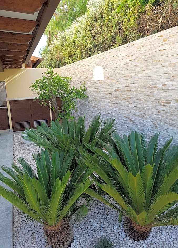 B&B Aloe Comfort Rooms