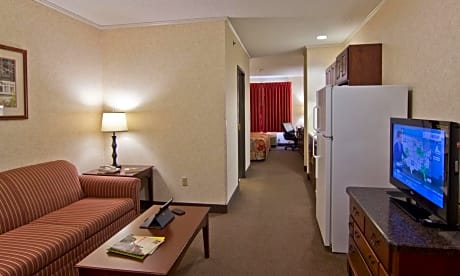 Deluxe King Suite