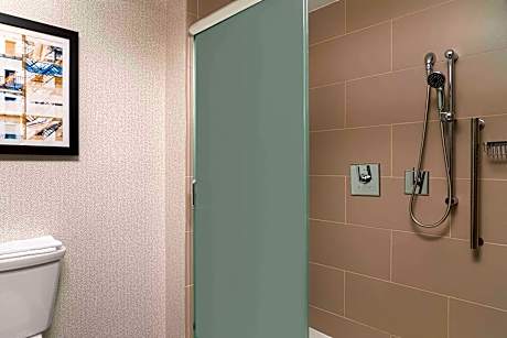 1King Accessible Roll In Shower Suite Nonsmok