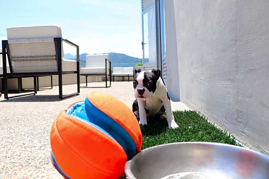 Hotel Mio Vallarta - Adults Only