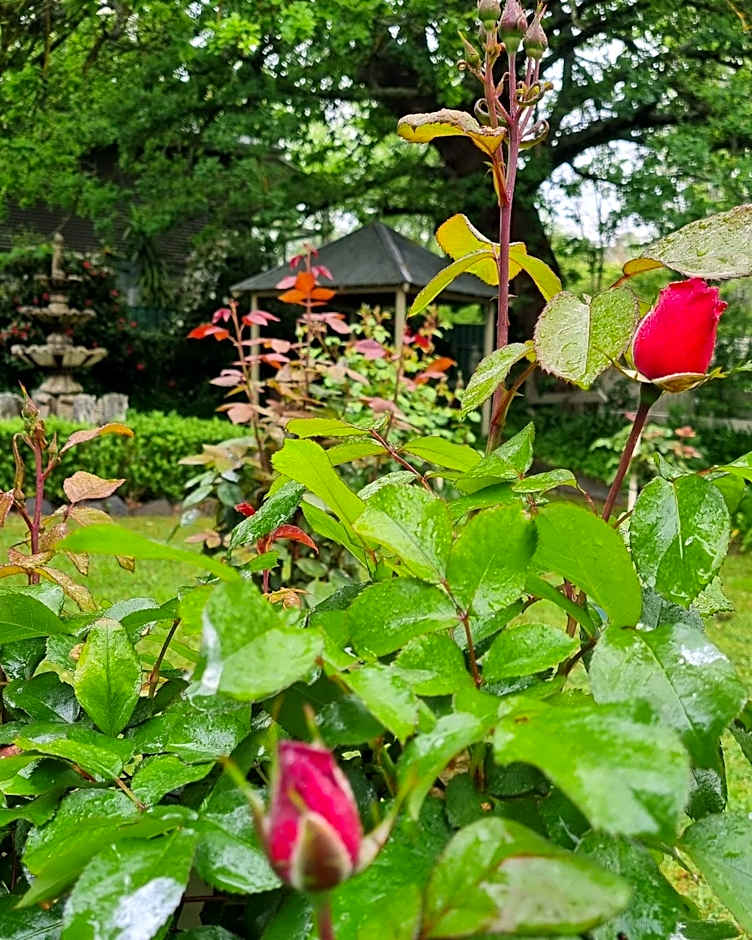 Hahndorf House B&B