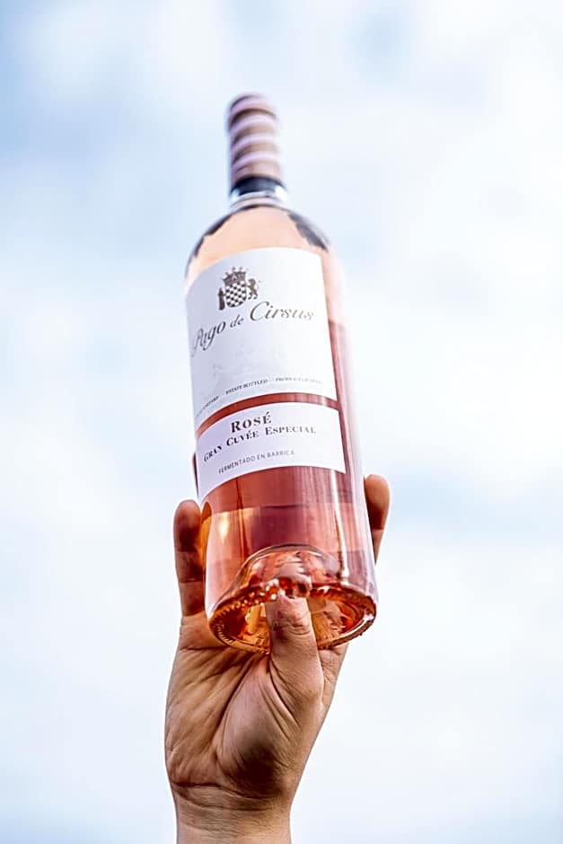 Hotel Pago De Cirsus