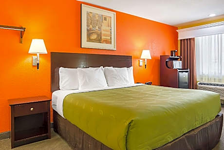 1 King Bed Nonsmoking Accessible