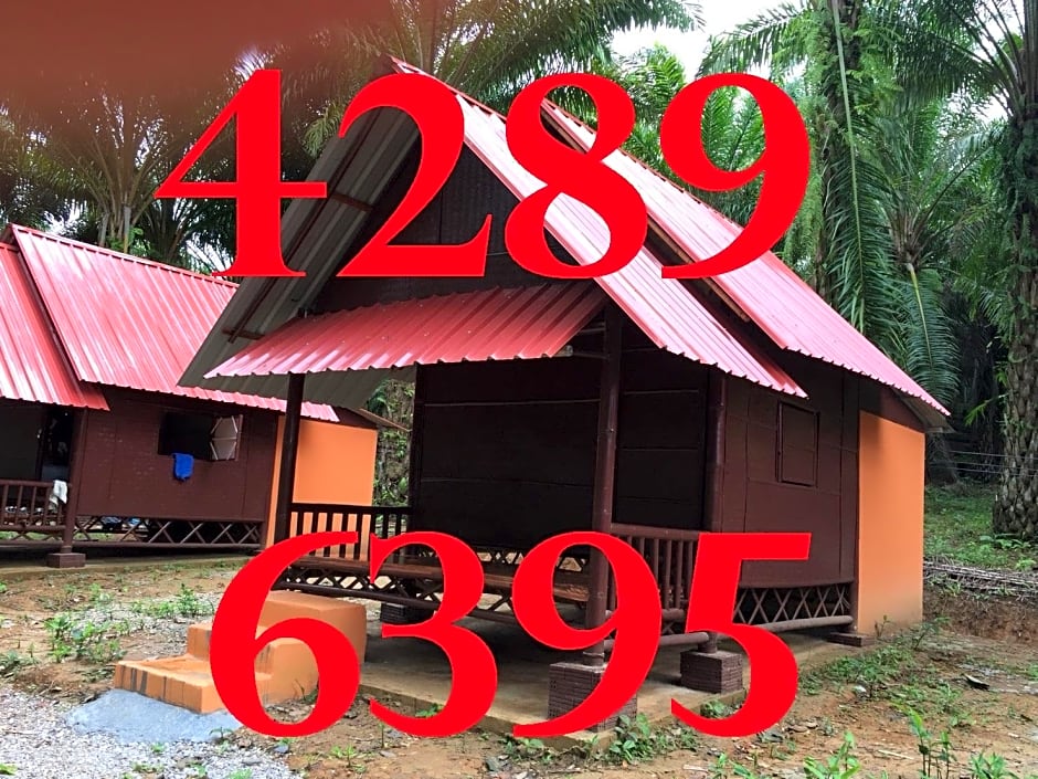 Khao Sok Evergreen House