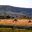 Entre monts et collines B&B et spa en option