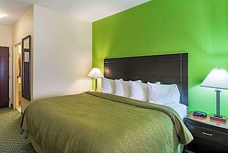 1 King Bed, Suite, Nonsmoking