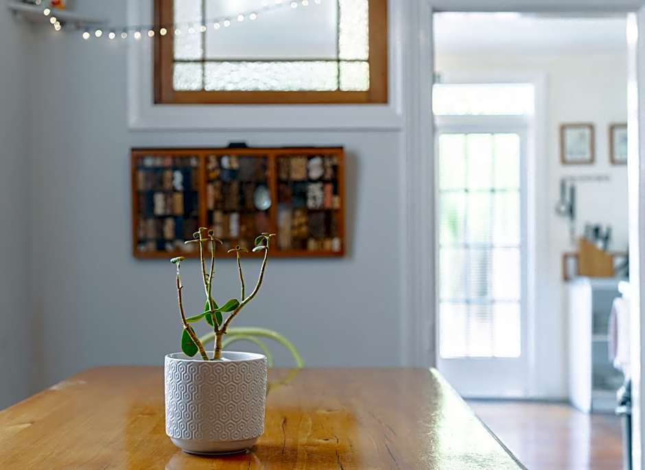 The Villa Backpackers Lodge