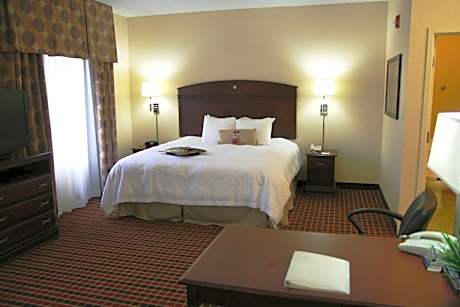 1 King Bed Studio Suite W/ Sofabed Nonsmoking