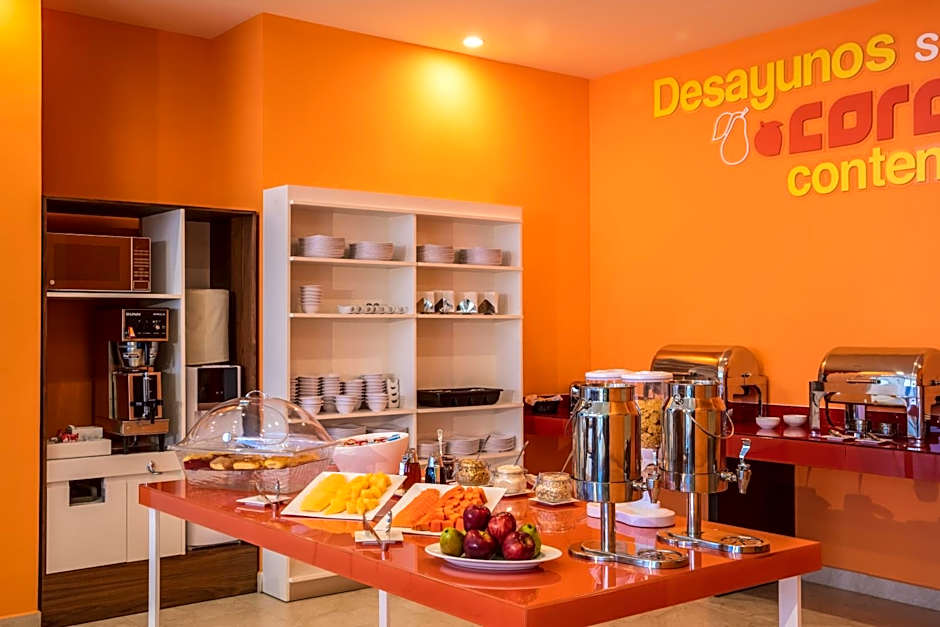 One Chihuahua Fashion Mall