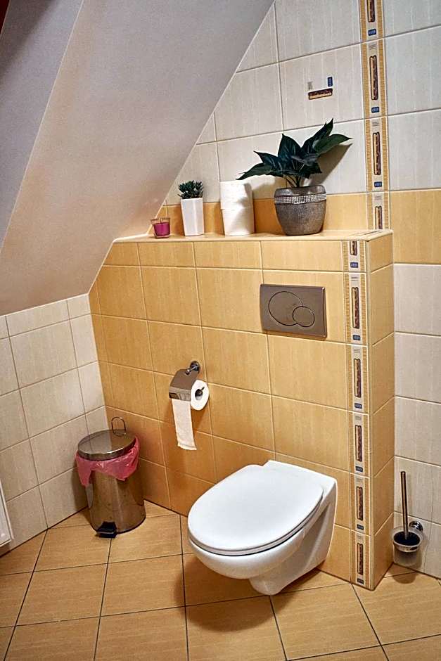 Willa Kosówka - Frydman