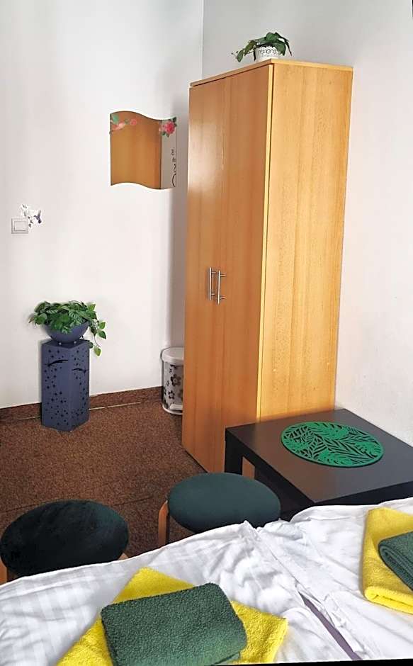 Green Cat Rooms