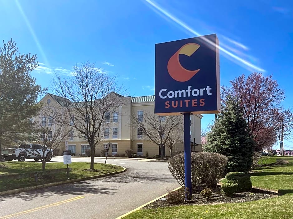 Comfort Suites East Brunswick - South River