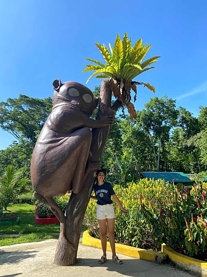 Roca's Homestay Backpackers Chalet