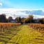 Clos Labellie - Gîte et Chambre d'Hôtes à Saint-Emilion