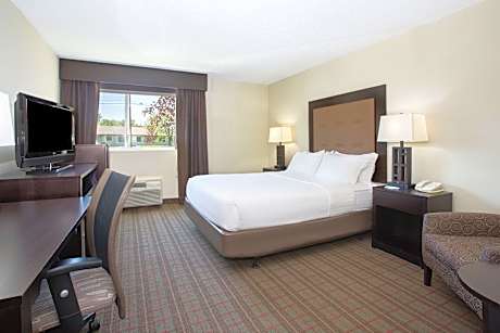 1 Queen Bed Standard