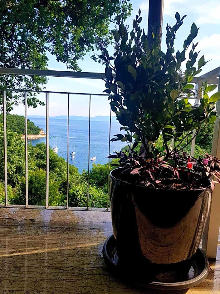 Boarding House Lucija