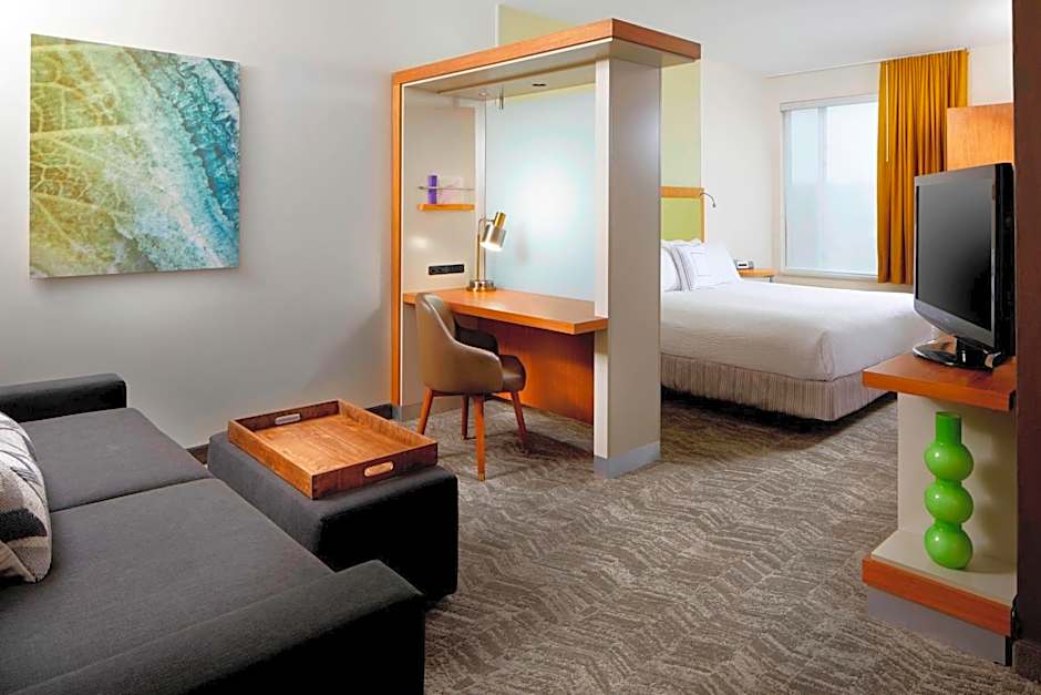 Photo 1 of 8 of 1 King Bed with Trundle Bed Suite, Hearing/Mobility Accessible, Bathtub