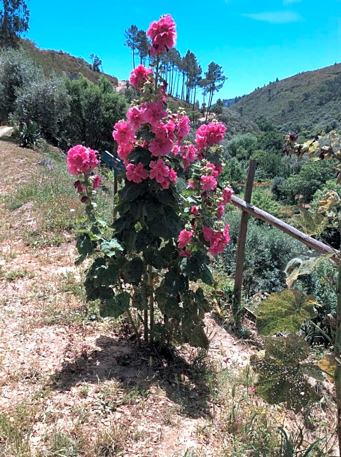 Guest Room Agro-turismo Quinta da Fonte Bed&Breakfast