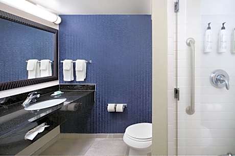 Studio, 1 King Bed with Sofa bed (Hearing Accessible) (1 King Bed and 1 Double Sofa Bed)