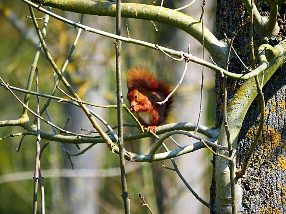 Le Manoir de Louviers