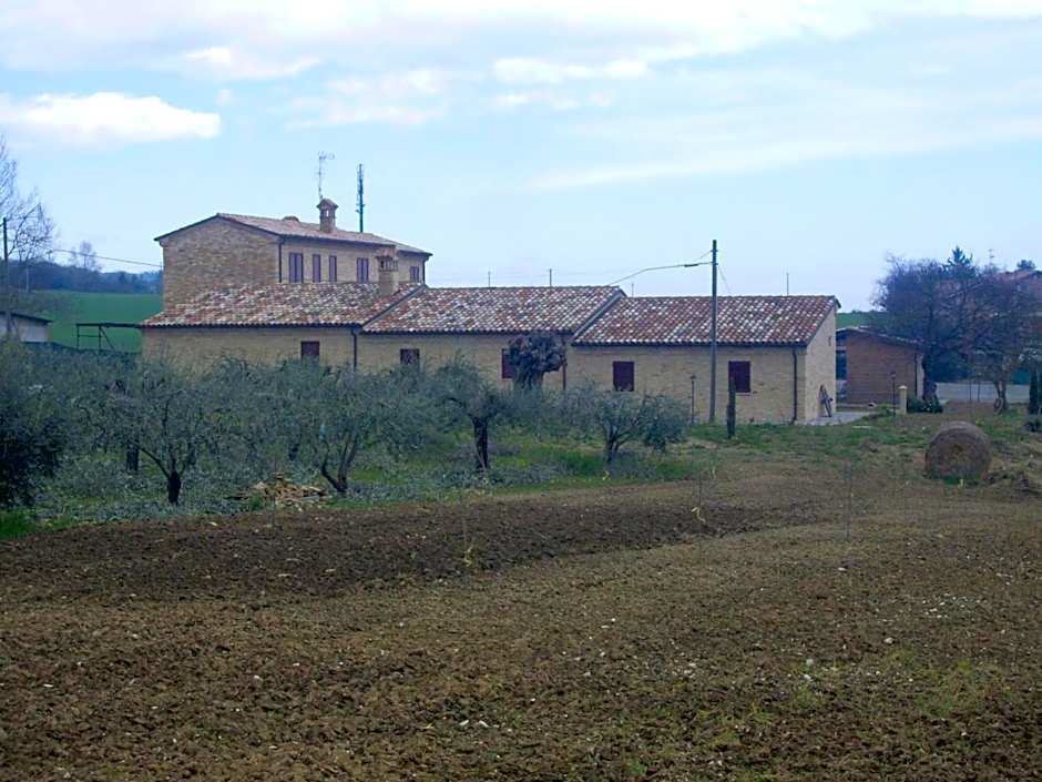 il Piccolo Melograno