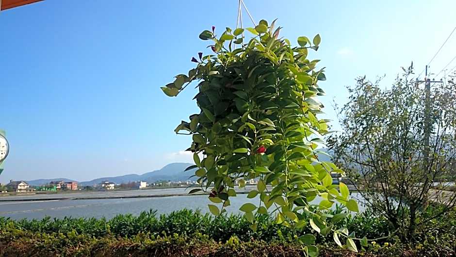Yilan Real Fun Homestay