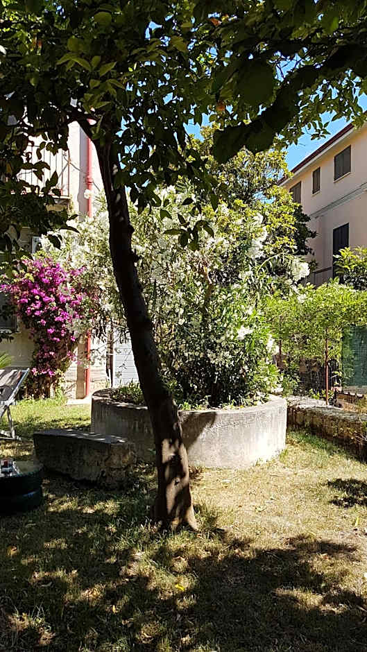 Il Giardino Di Vico Neve