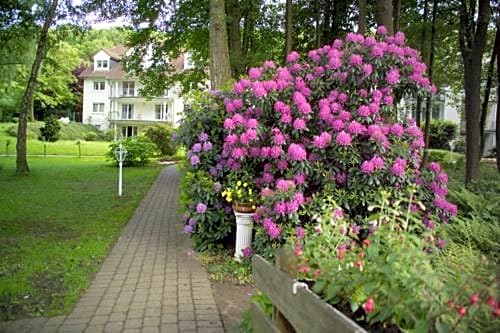 Parkhotel am Taunus