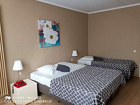 Hôtel La Côte d'Or