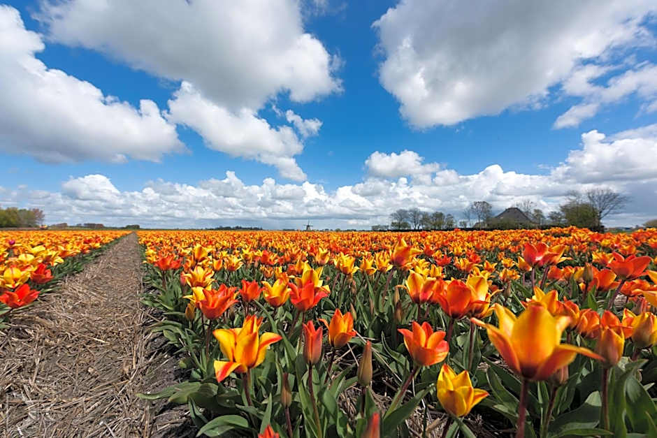 Strandhotel de Vassy