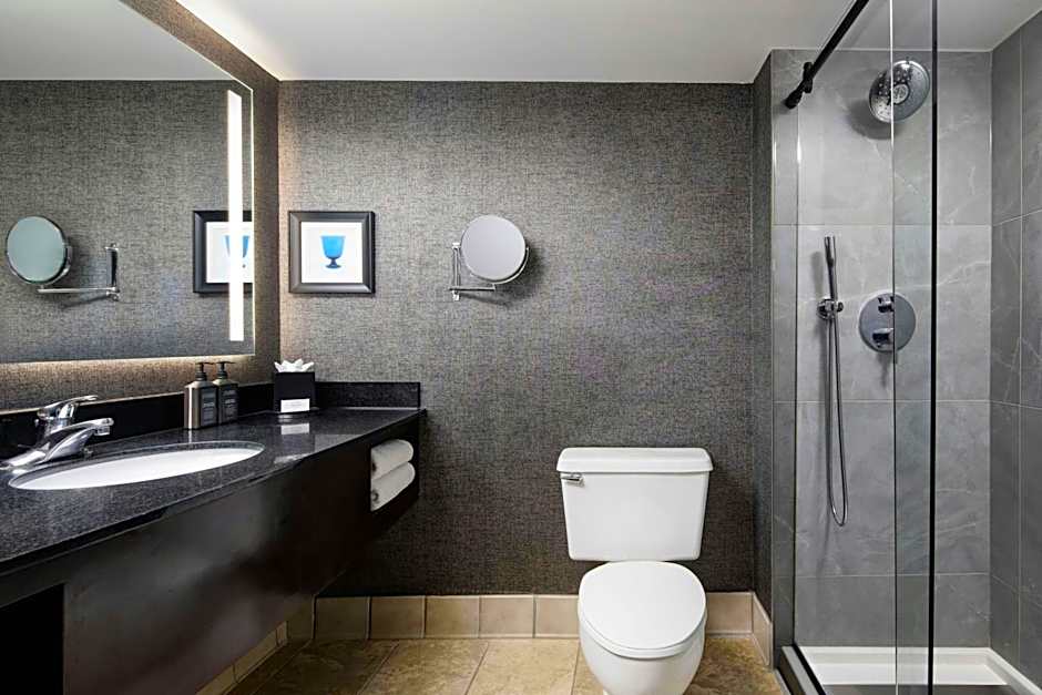 Sheraton Dfw Airport Hotel