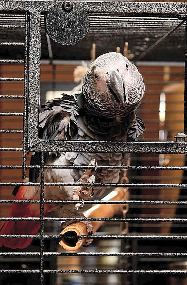 Sunny Beach Hotel Forum - All Inclusive