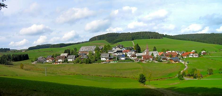 ZUR TRAUBE Schwarzwaldhotel & Restaurant am Titisee