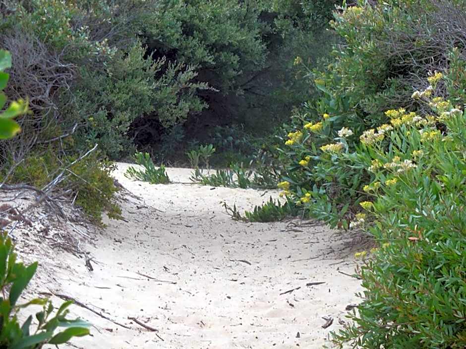 Paradise on The Boulevard - 90 Mile Beach Holiday Home