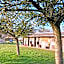 Le Domaine d'Olène