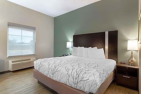 King Room - Pet Friendly