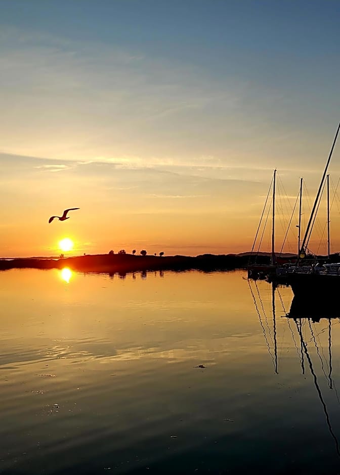 Astra Whale - Waterfront Boutique Hostel in Lofoten