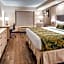 City Express by Marriott Pooler Savannah Airport