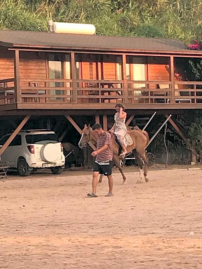 Equestrian and Beach Club