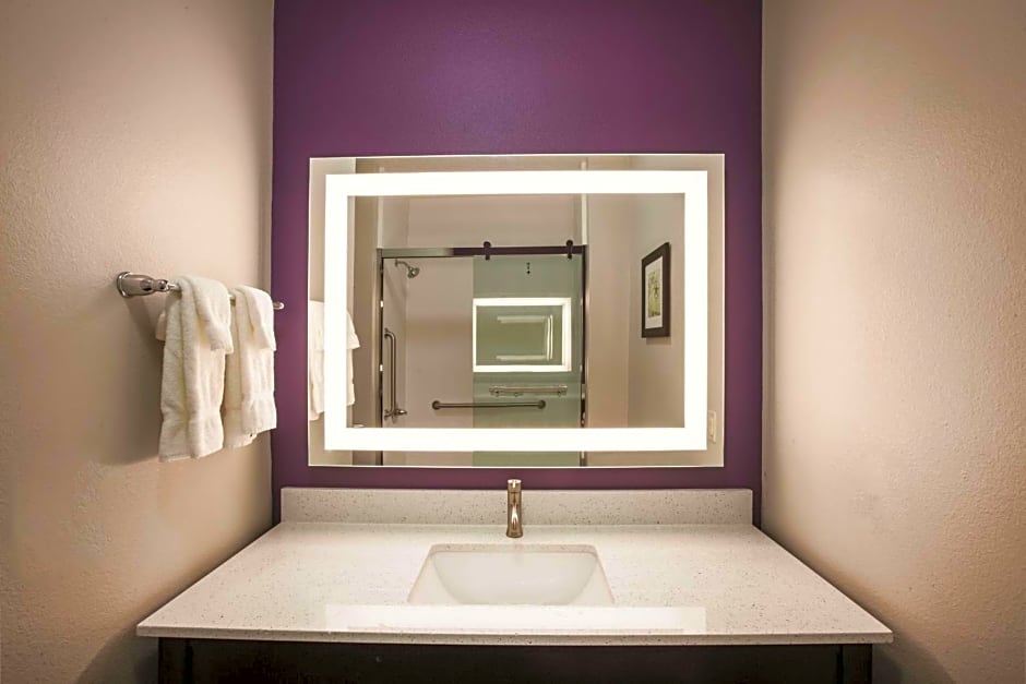 La Quinta Inn & Suites by Wyndham Lubbock South