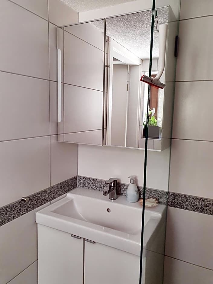 Monteur-Fremdenzimmer - Petit Quartier