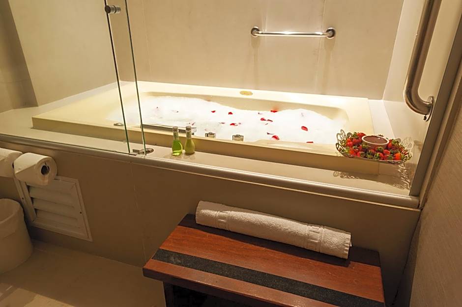 Radisson Hotel Anapolis