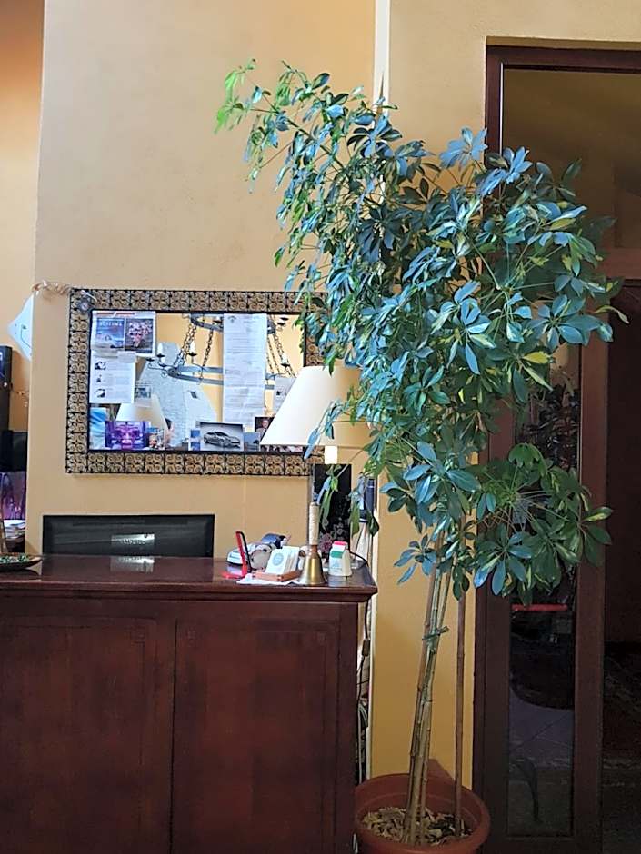 Hotel Damian Park Hotel Delle Magnolie