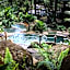 Chachagua Rainforest Hotel & Hot Springs